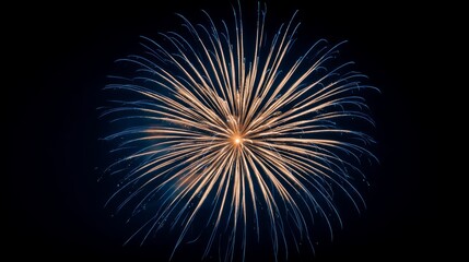 Obraz premium Firework explosion in night sky with vibrant golden sparks 