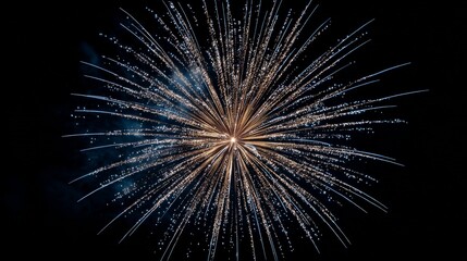 Fototapeta premium Colorful fireworks exploding in night sky celebration 
