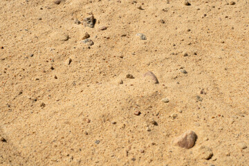 Photo of white sand on the beach.Sandy background.