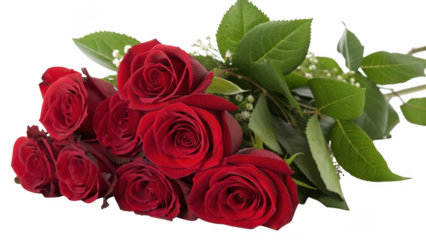 A lush bouquet of deep red roses with vibrant green leaves isolated on a transparent background isolated on transparent background