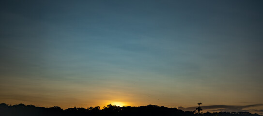 Amazon Jungle Sunrise – Golden Horizon over Tropical Rainforest