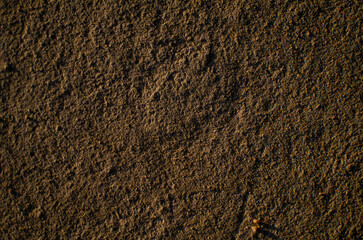 Grunge concrete wall. The light of the sunset, sandy golden color