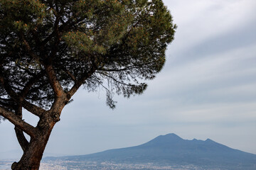 Mount Vesuvius View Framed by Pine Tree – Scenic Landscape of Naples