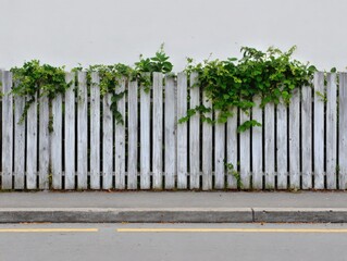 Fototapeta premium Picket Fence and Vines: A meticulously crafted picket fence, adorned with verdant vines, stands sentinel along a serene roadside, a picture of tranquility and orderliness.