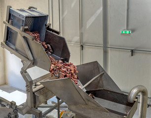 meat processing plant abattoir, elevators lifting, beef meat dropped in giant grinder at the factory