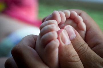 The feet of a newborn baby in the hands of the mother. Parent holding in the hands feet of newborn...