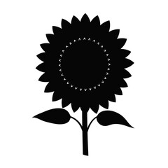Sunflower flower isolated, vector illustration.
