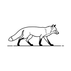Simple animal line icon isolated. Fox icon