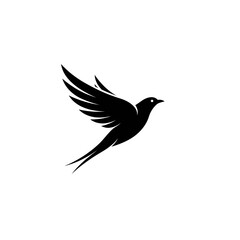 Bird graphic silhouette black and white, colourful graphic, beautiful, feathers, beak