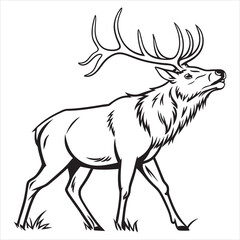 ELK Vector 