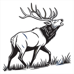 ELK Vector 