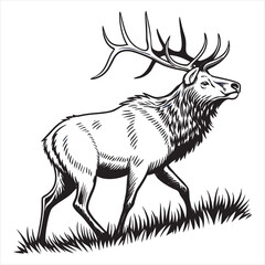 ELK Vector 