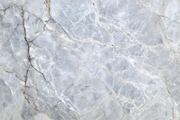 Fototapeta premium Light grey marble surface with fine natural white veining.