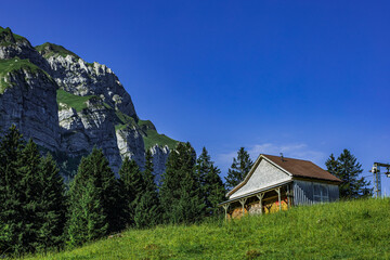Fototapeta premium Small alpine hut with stacked firewood on a grassy meadow surrounded by evergreen trees and rocky peaks near Seealpsee in Appenzell, Switzerland, under a clear blue summer sky.