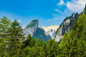 Obraz premium Picturesque view of dramatic alpine peaks and lush evergreen forest near Seealpsee in Appenzell, Switzerland, under a clear blue summer sky, perfect destination for hiking, nature and travel photograp