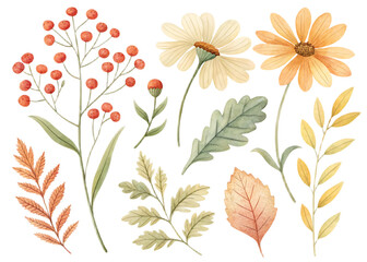 Watercolor botanical illustration featuring flowers berries and various types of leaves artfully arranged