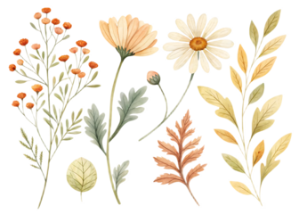 Watercolor floral arrangement featuring daisies tansy and various types of leaves and stems artfully placed