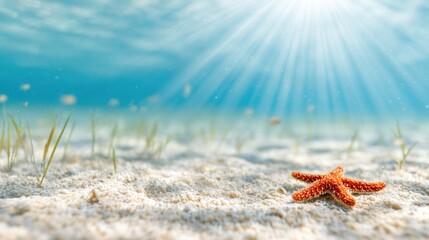 Starfish on Sandy Ocean Floor