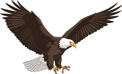 Majestic bald eagle in flight, wings spread wide, powerful predator, wildlife bird, freedom symbol, nature illustration, soaring, conservation, detailed