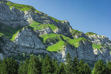 Majestic rocky slopes with green alpine meadows and evergreen trees near Seealpsee in Appenzell,...