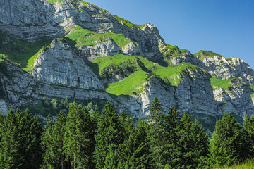 Majestic rocky slopes with green alpine meadows and evergreen trees near Seealpsee in Appenzell,...