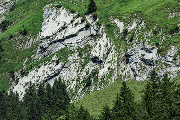 Steep rocky mountain slopes covered with green alpine grass and scattered pine trees, located above...