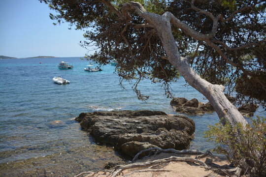 Toulon - Les Criques	