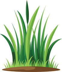 Grass illustration vector with white background