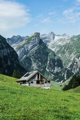 Traditional Swiss alpine house with solar panels on the roof, located on a grassy hillside with...
