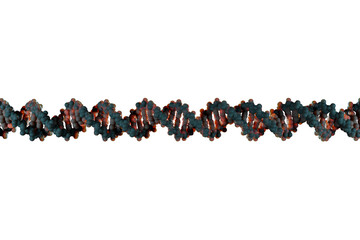 Scientifically accurate right-handed DNA double helix structure. 3D rendered molecular model, light...