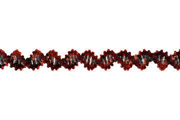 Scientifically accurate right-handed DNA double helix structure. 3D rendered molecular model with...