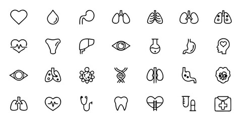 Cardiovascular & Respiratory Organs Icon Pack &ndash; Minimalist Line Art Heart, Lungs, Blood Vessels, Bronchi, Alveoli, Trachea, and Circulatory System &ndash; Medical & Health Vector Icons