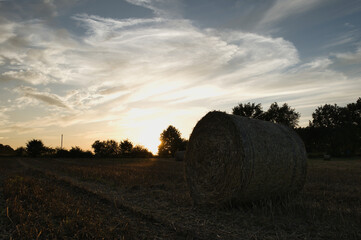 Heuballen - bales of hay - field - harvest - summer - straw - farmland - blue cloudy sky - golden -...