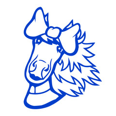 Horse girl female cute pretty bow woman sweet cool