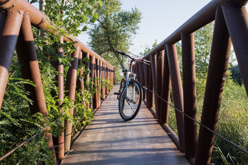 Close-up of a bicycle standing on a rustic iron bridge overgrown with greenery, with strong...