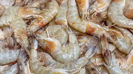 A close-up view of fresh, raw shrimp. They are piled up, with the shell intact, light-colored and translucent, showing details of their heads and antennae.