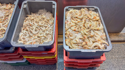 Plastic crates, one gray and one blue, containing fresh shrimp on ice. The crates are stacked on top of other colorful ones in an outdoor area, possibly a market.