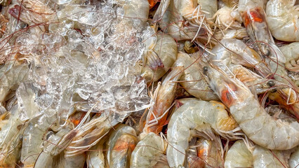 A close-up view of fresh, raw shrimp, arranged next to pieces of ice. The image highlights the texture of the translucent shells and the details of their heads.