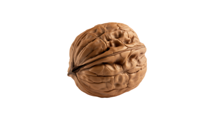 Walnut fruit, isolated on transparent background
