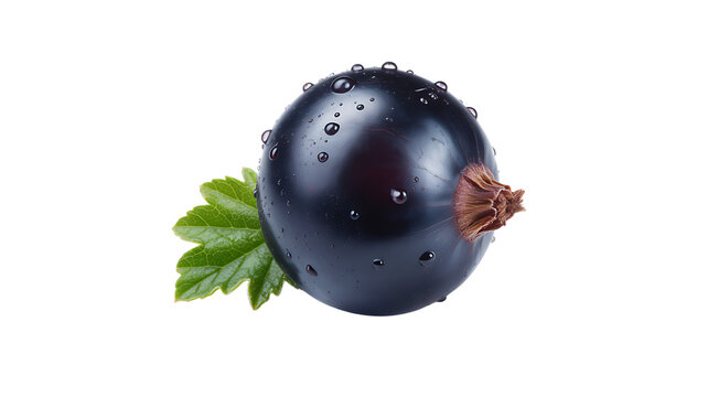 Blackcurrant fruit, isolated on transparent background