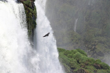 waterfall on the river