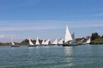 Naklejka premium barcos veleros competición 