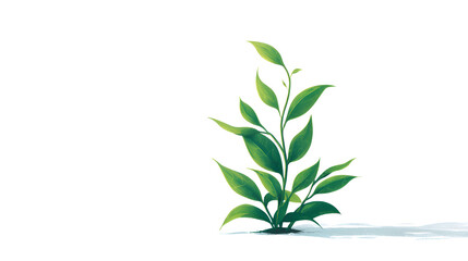 Vibrant Green Plant with Lush Leaves on White Background: A Detailed Close-Up of a Small Sprout Showing New Growth in a Brightly Lit Setting. The