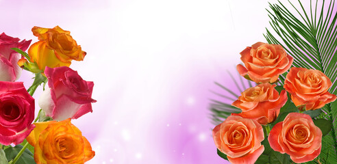 Vibrant bouquet of roses and greenery creates a joyful atmosphere in a dreamy pink background