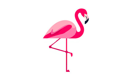 Flamingo Standing on One Leg in Pink Design


