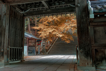 Artistic view of autumn leaves and trees with stone staircase at a Japanese temple, as seen through wooden entrance arch in Kyoto, Japan
