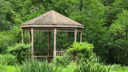 Peaceful Gazebo Surrounded By Greenery with Trees, Wild Plants, Grasses, Arboretum New Jersey Wood...