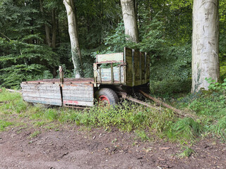 aufgegebener alter Pritschenwagen am Waldrand