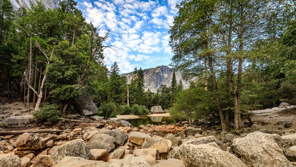 Serene Mountain Hiking Path with Forested Backdrop and Blue Sky