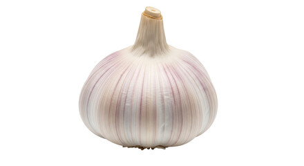 Isolated Garlic Bulb